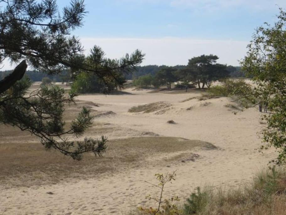 Appartamento Schitterend In Het Bos