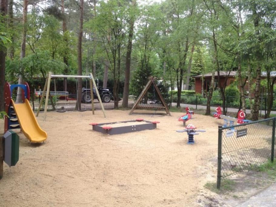 Schitterend In Het Bos *